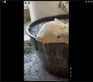 Facebook Reels auto-scroll